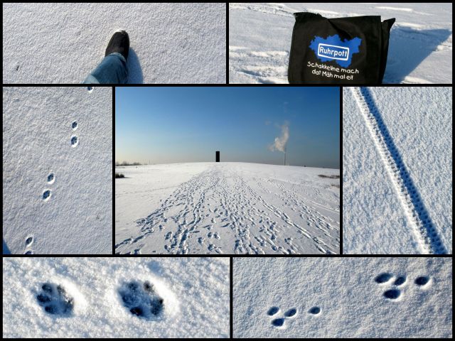 Spuren_im_Schnee