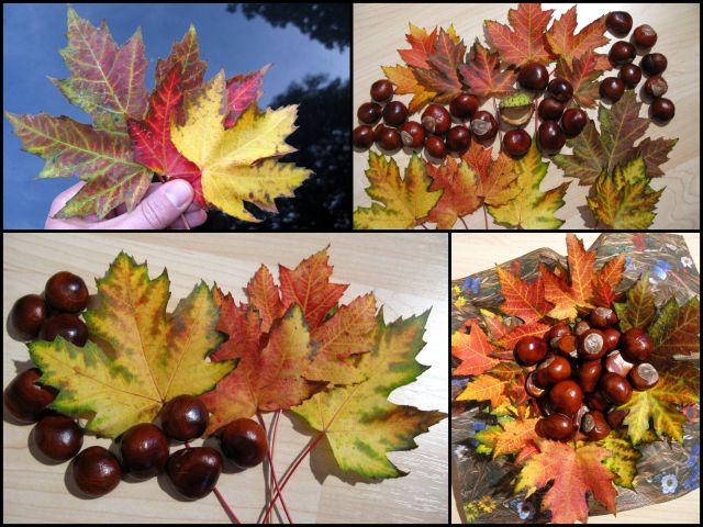 Herbst 2013_1