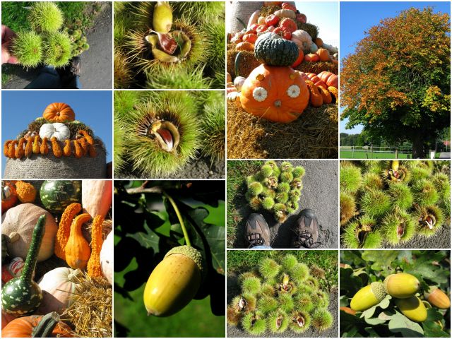Herbst 2013_3