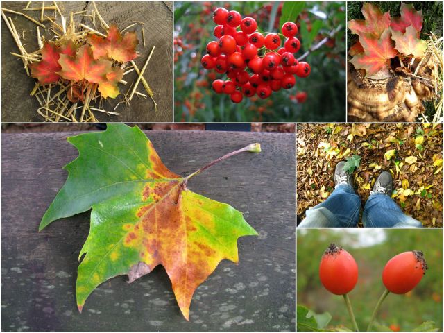 Herbst3