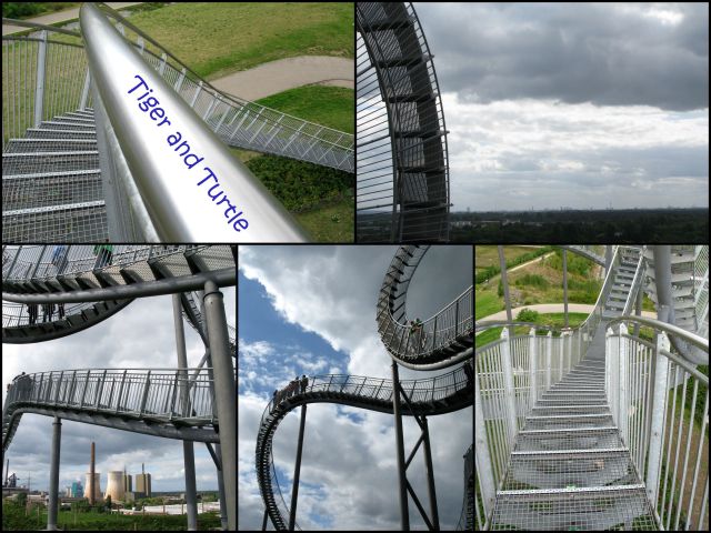 TigerandTurtle