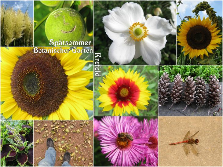 BotanischerGartenKrefeld