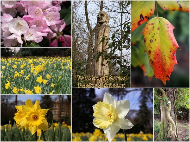 Botanischer Garten Duissern