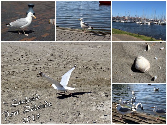 Urlaub 2015 (Zeeland)