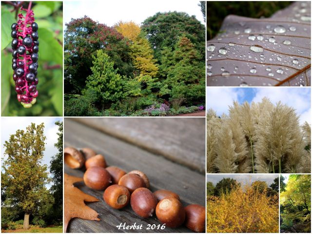 herbst-2016-i