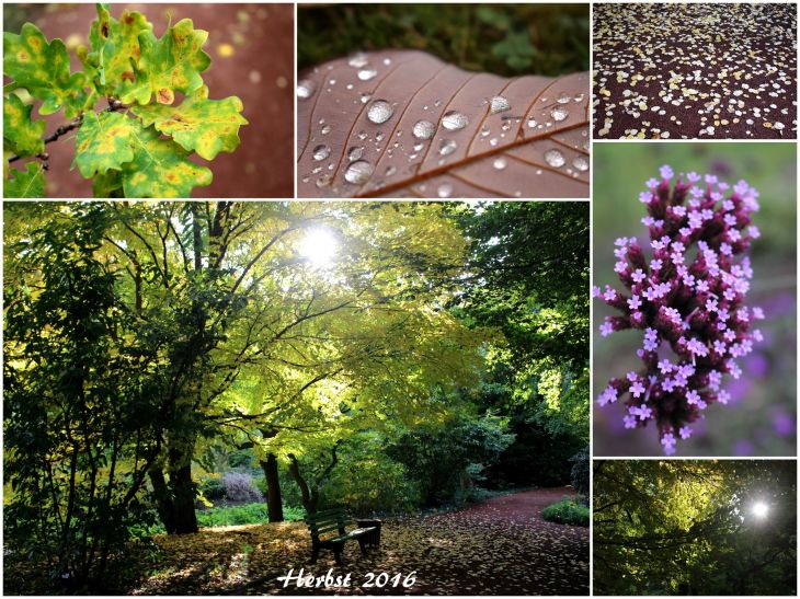 herbst-2016-ii