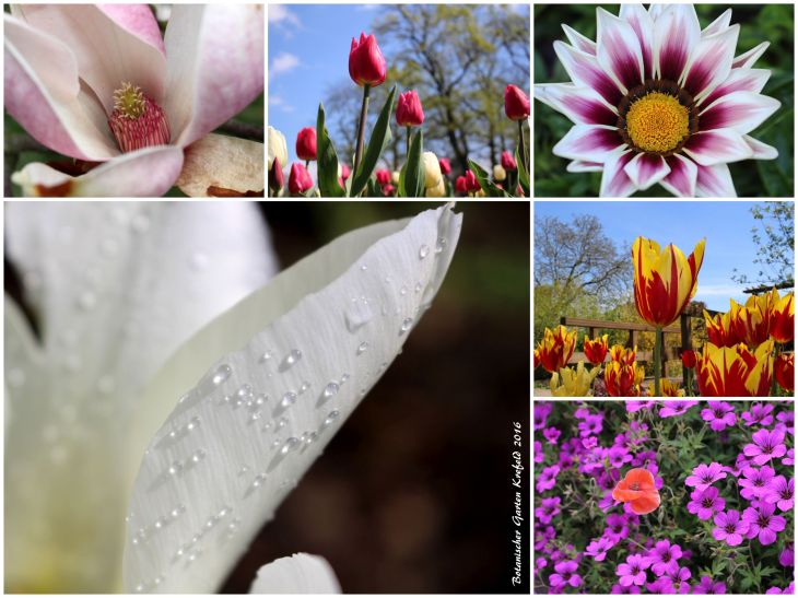 jahresrueckblick_2016_krefeld