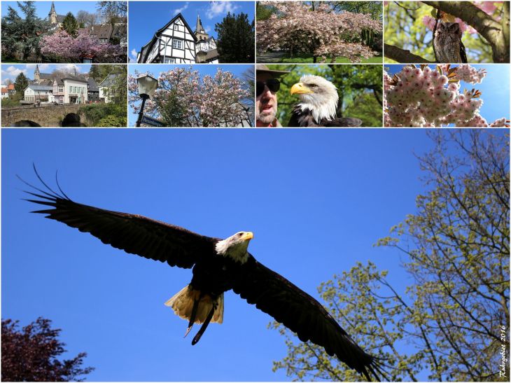 jahresrueckblick_2016_ruhrgebietvi