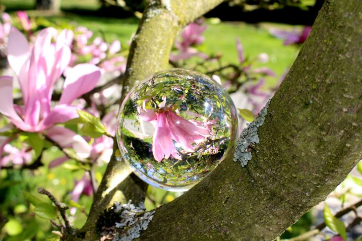 Dieses Bild hat ein leeres alt-Attribut; sein Dateiname ist img_1704.jpg.