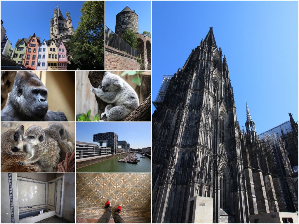 Dieses Bild hat ein leeres alt-Attribut; sein Dateiname ist 2019_11.jpg.