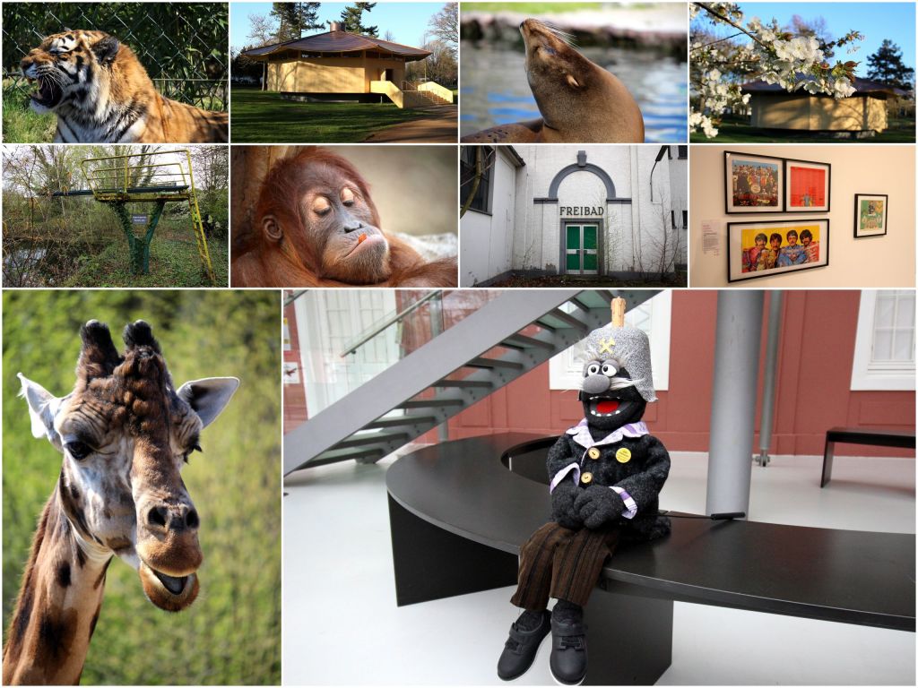 Dieses Bild hat ein leeres alt-Attribut; sein Dateiname ist 2019_4.jpg.