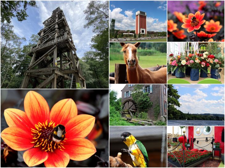 Dieses Bild hat ein leeres alt-Attribut; sein Dateiname ist 2020_07_2.jpg.