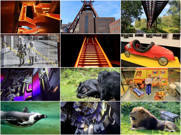 Dieses Bild hat ein leeres alt-Attribut; sein Dateiname ist 2020_09.jpg.