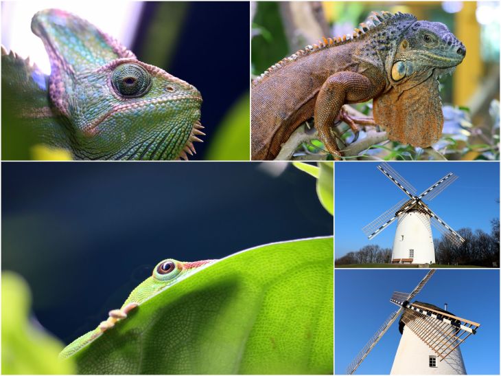 Dieses Bild hat ein leeres alt-Attribut; sein Dateiname ist 2020_01-1.jpg.