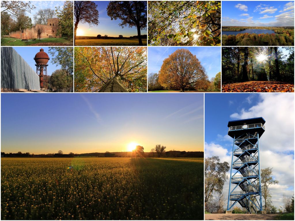 Dieses Bild hat ein leeres alt-Attribut; sein Dateiname ist 2020_11-1.jpg.