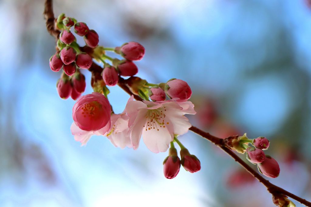 Dieses Bild hat ein leeres alt-Attribut; sein Dateiname ist img_4834.jpg.